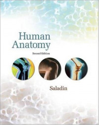 Human Anatomy