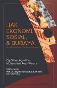 Image of Hak Ekonomi, Sosial, Dan Budaya Perlindungan Melalui Peradilan Konstitusional
