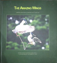 The Amazing Wings : Cemara Asri Photo Contest 2012 Catalog