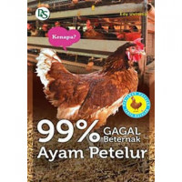 99 Persen gagal beternak ayam petelur