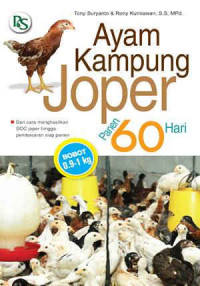 Ayam kampung joper panen 60 hari