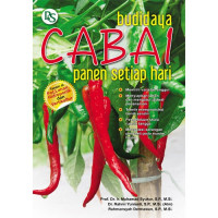 Budidaya cabai panen setiap hari
