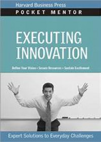 Executing Innovation : Expert solutions to everyday challenges